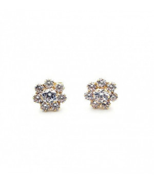 PENDIENTES MUJER/JOVEN ORO  FLOR  8 CIRCONITAS.